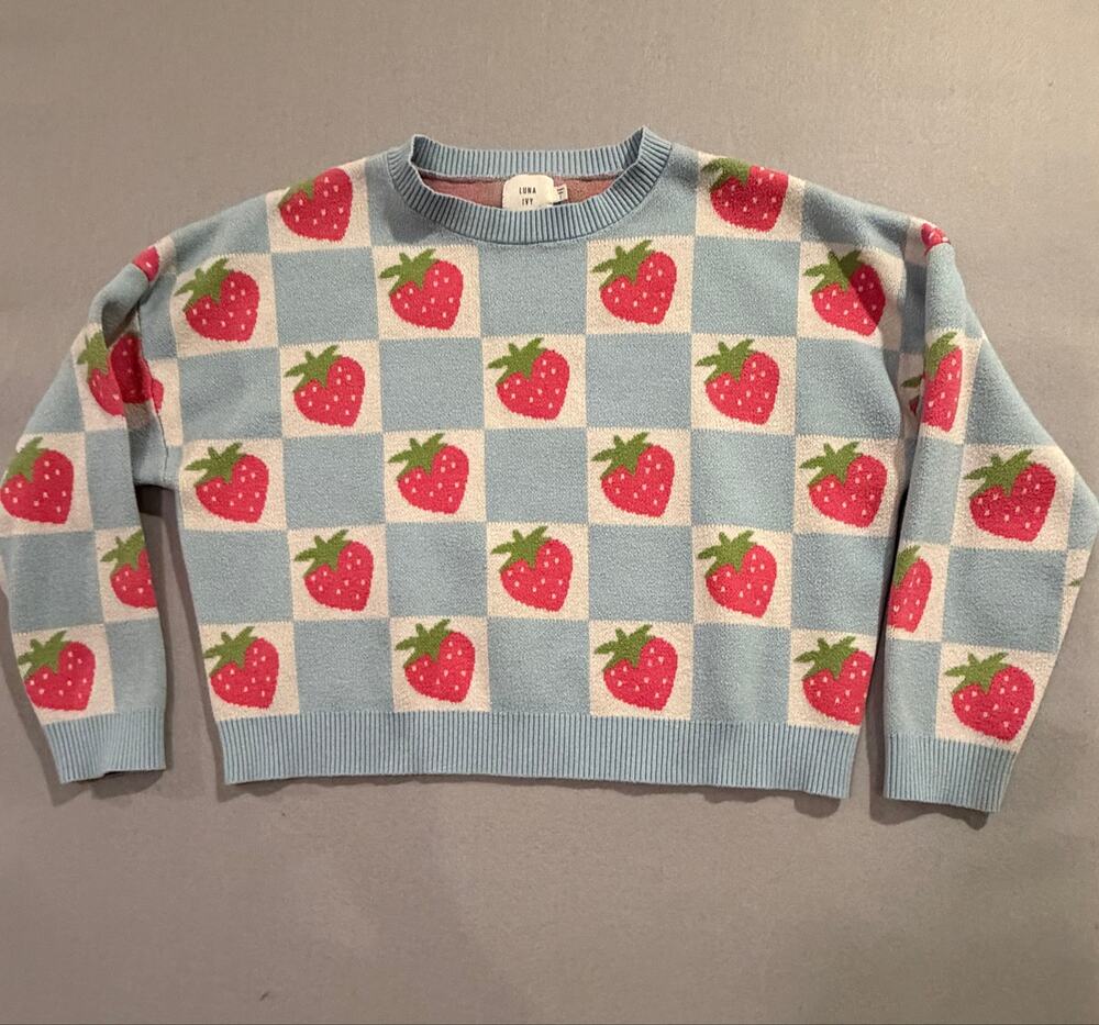 Luna Ivy Strawberry Checkerboard Sweater Blue Pink Knit Crewneck Women’s L